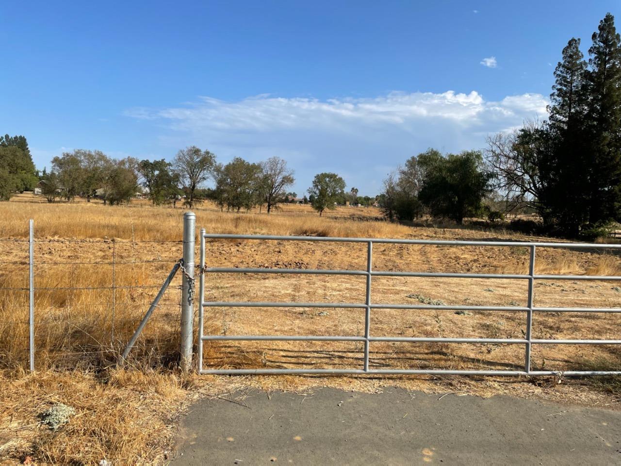 9739 Sheldon Road
