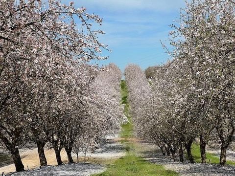 7461 East Avenue Ballico CA 95303