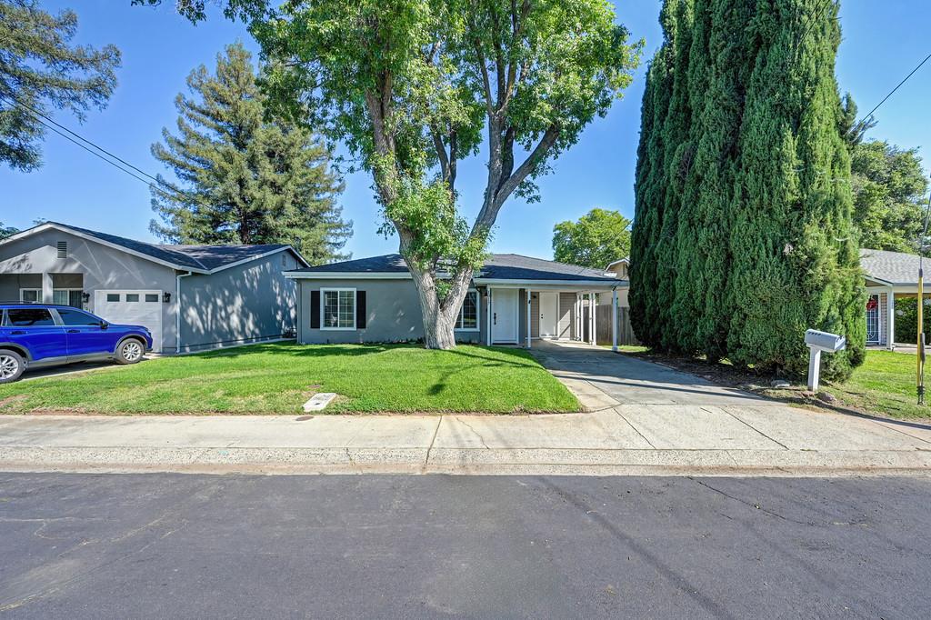 1017 Shearer Street