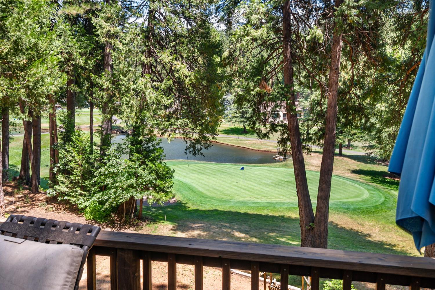807 Blue Lake Springs Drive