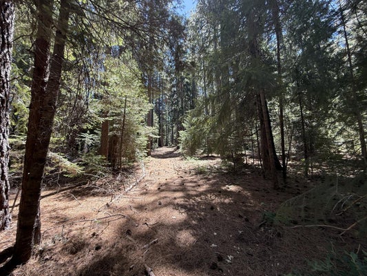 11250 WASHINGTON RD, NEVADA CITY, CA 95959 - Image abecc1e95ae190f810e4d2bdc4e21848/928413066