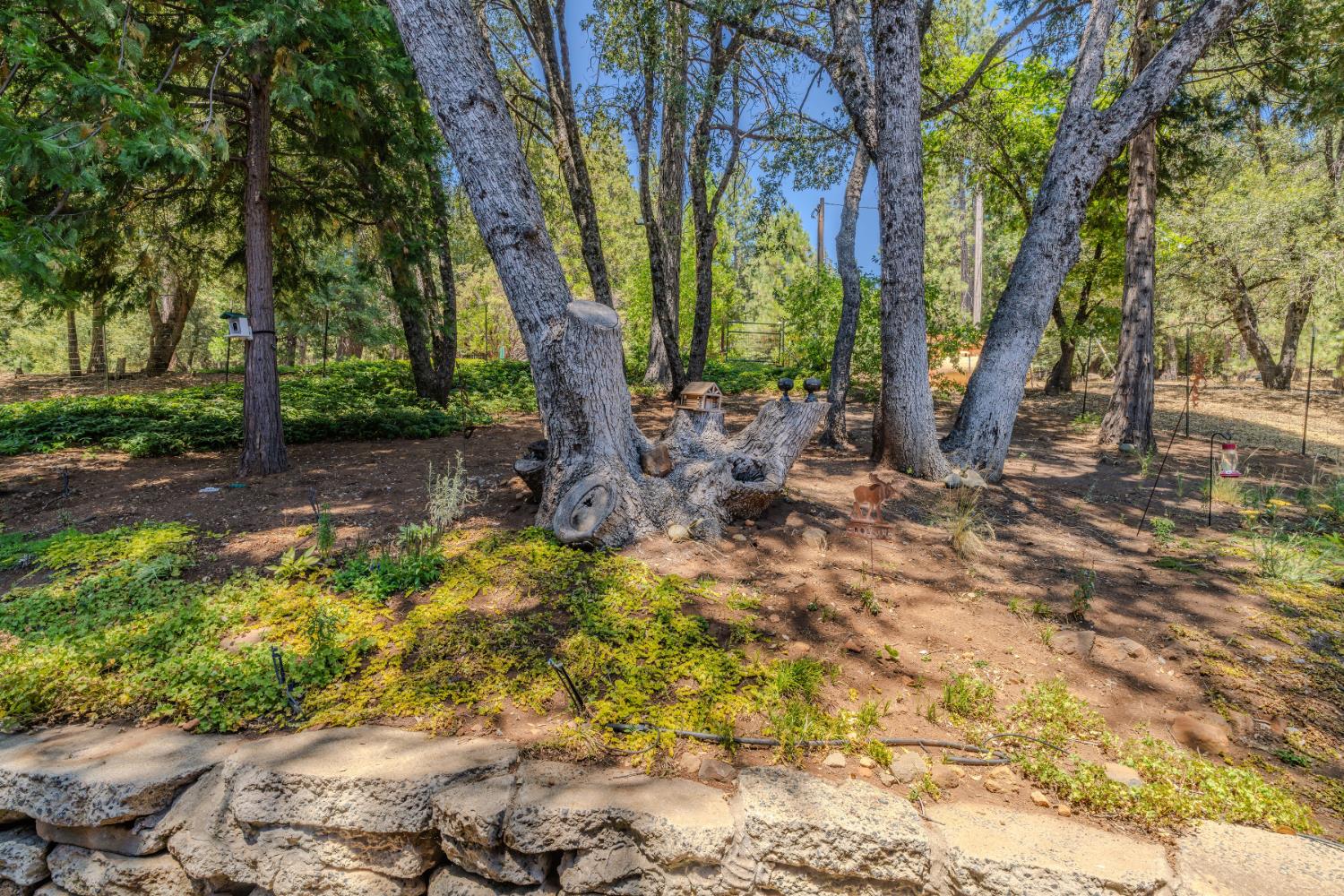 25804 Aspen Court