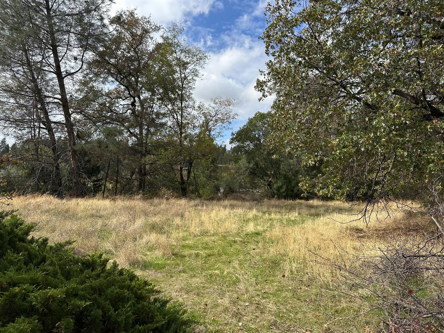 2300 Nevada City Highway