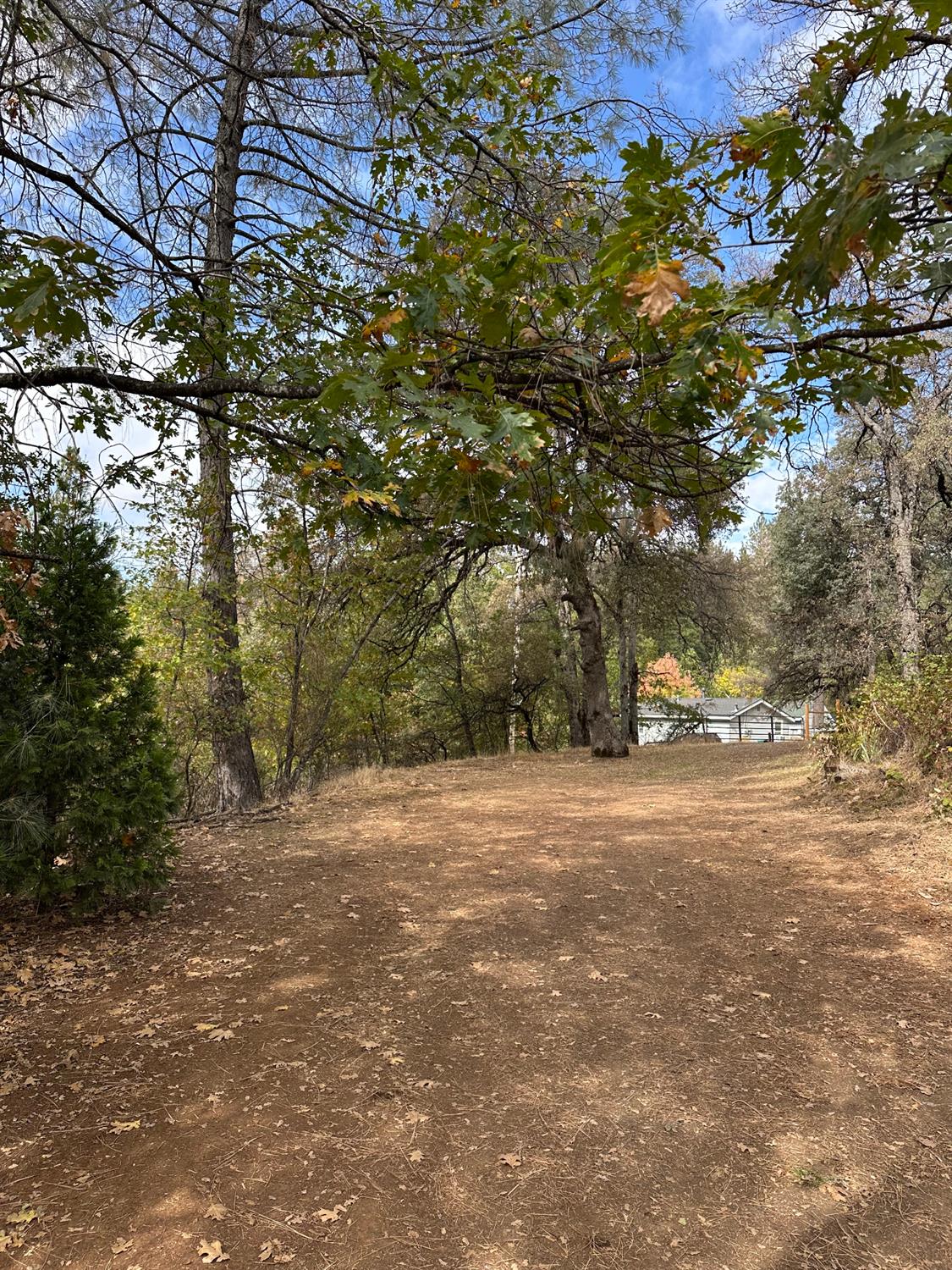 2300 Nevada City Highway