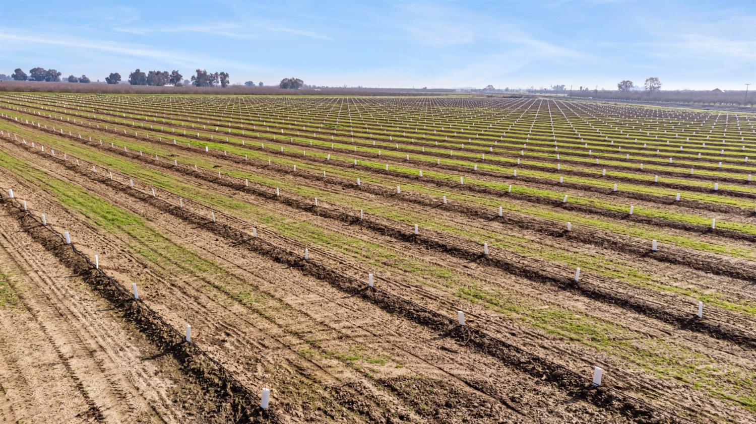 4084 Fresno