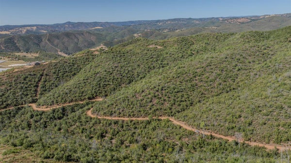 8519 MARANATHA RD, MOUNTAIN RANCH, CA 95246 - Image ad4dfdac4a8eb8b0de3420aa9324e2c3/2225368071