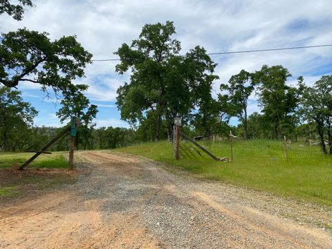MLS: 225045874