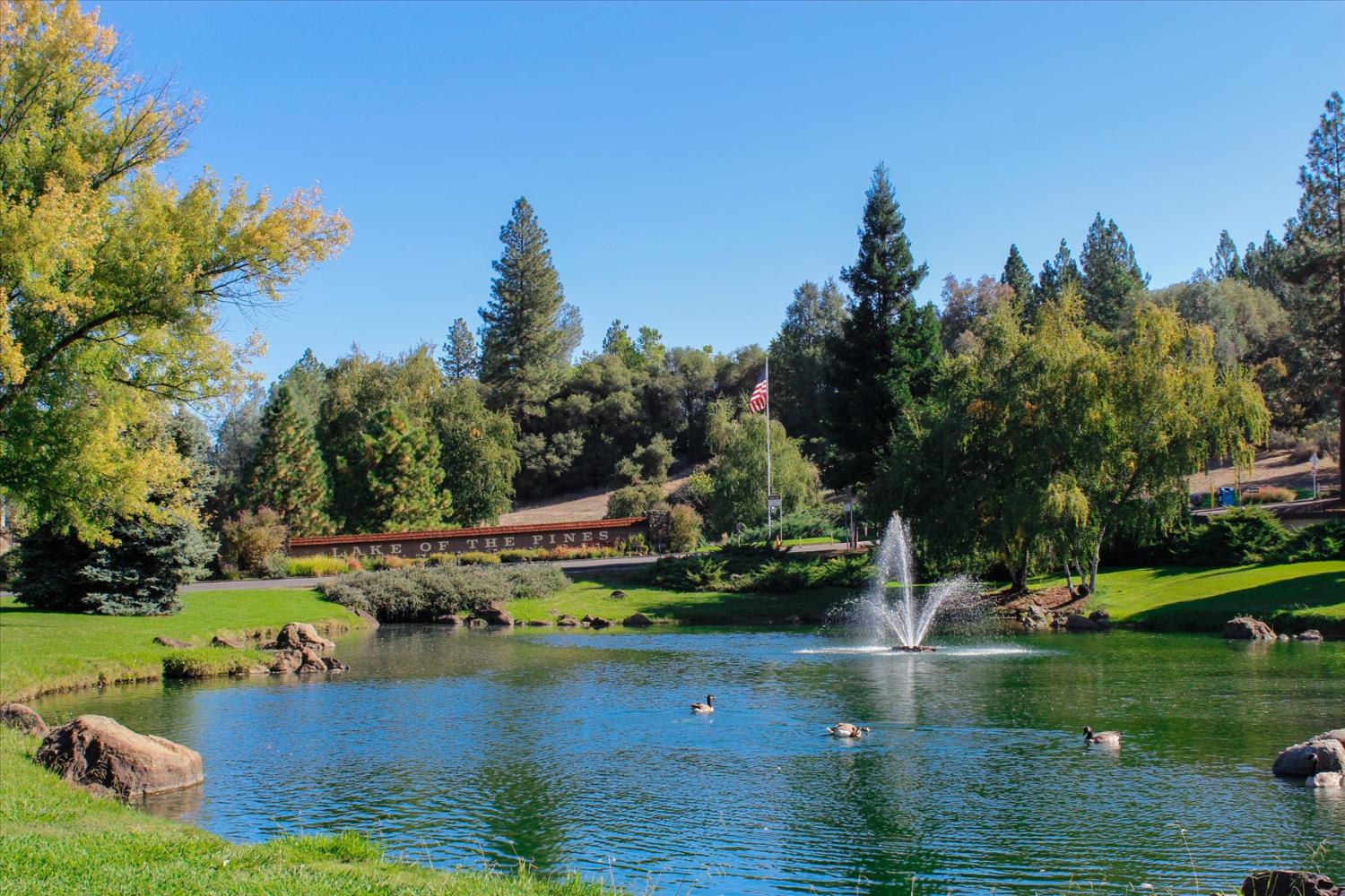 12353 Torrey Pines Drive