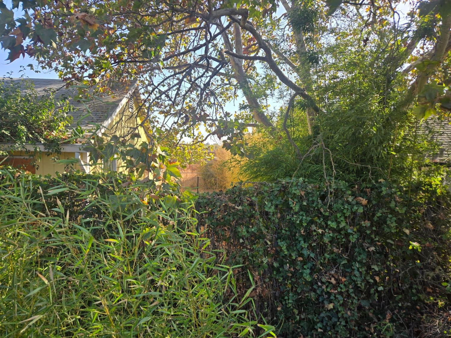 8690 Calvine Road