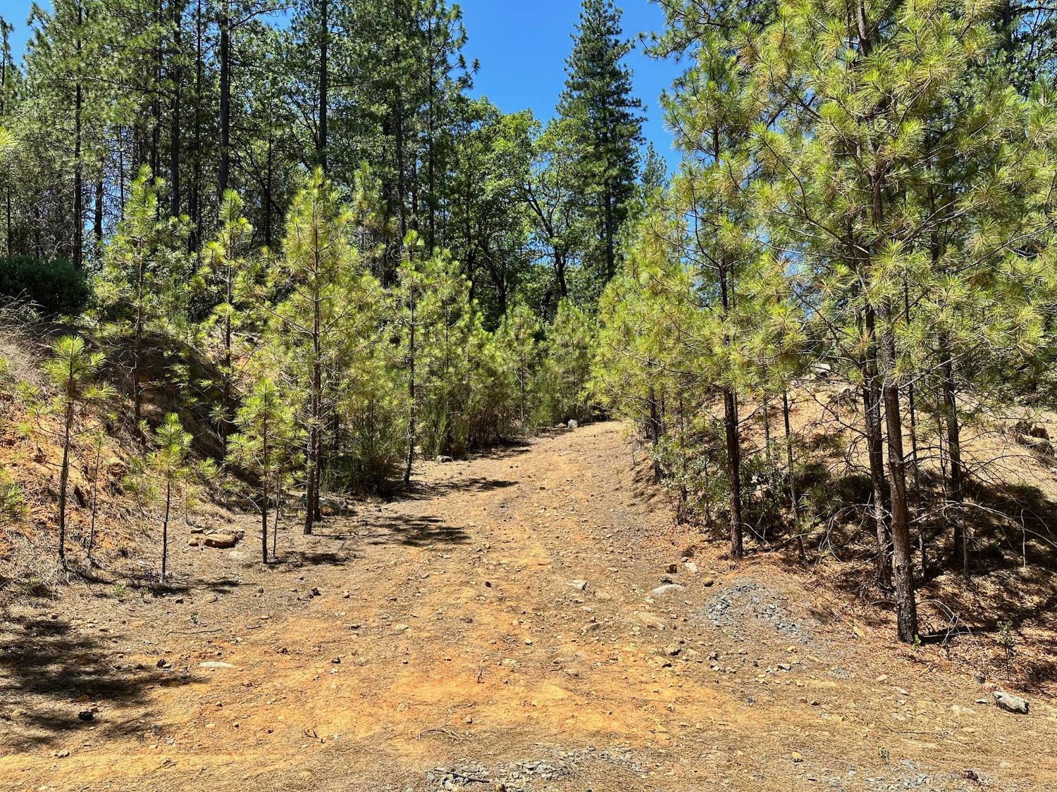 400 E Summit View Drive