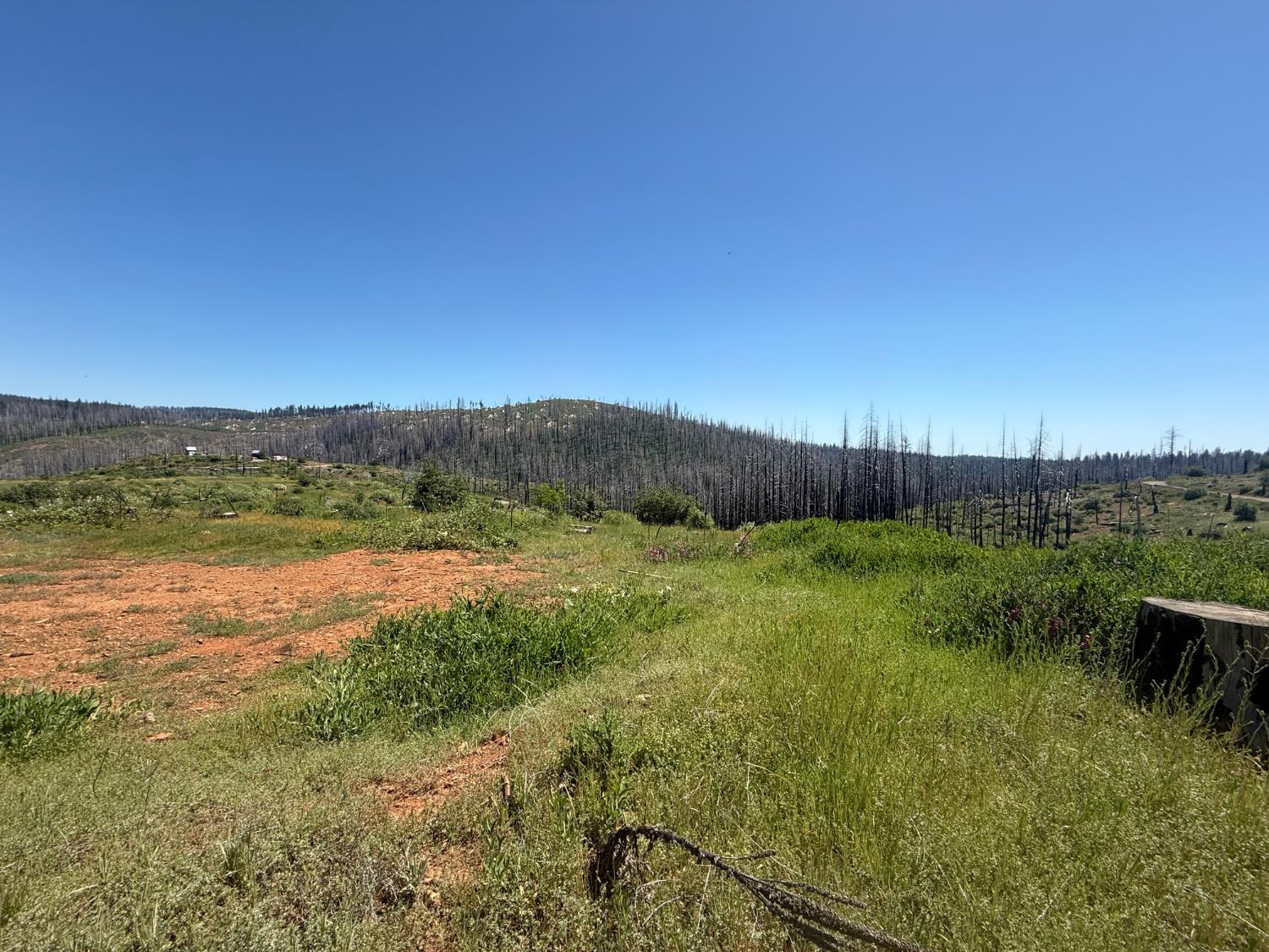 10340 Grizzly Flat Road