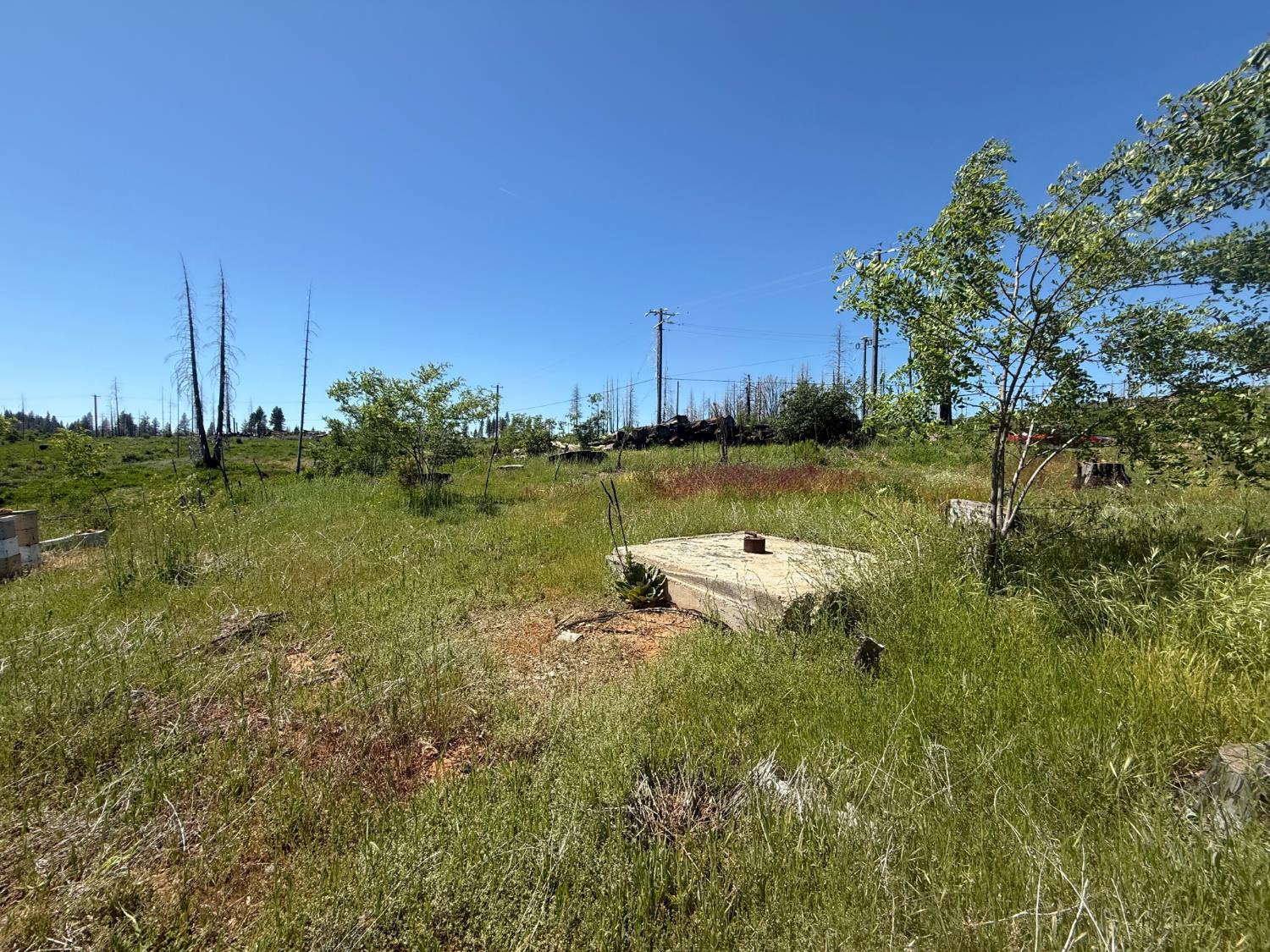 10340 Grizzly Flat Road