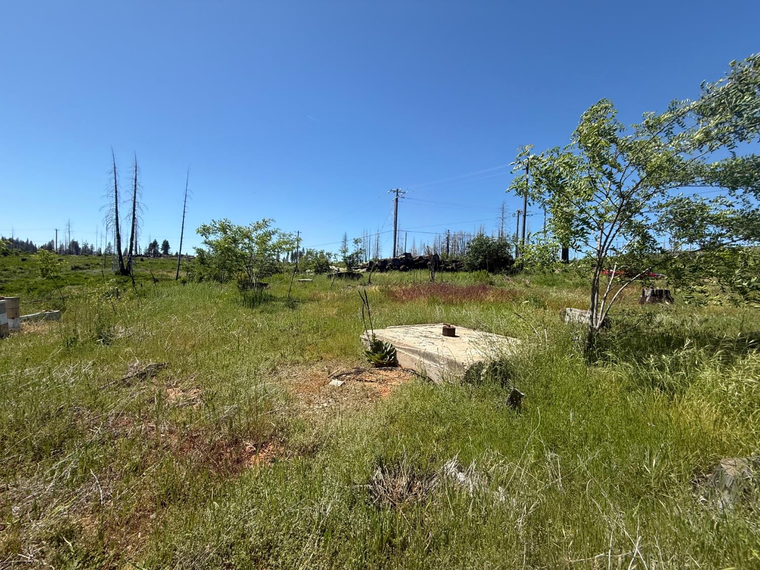 10340 Grizzly Flat Road