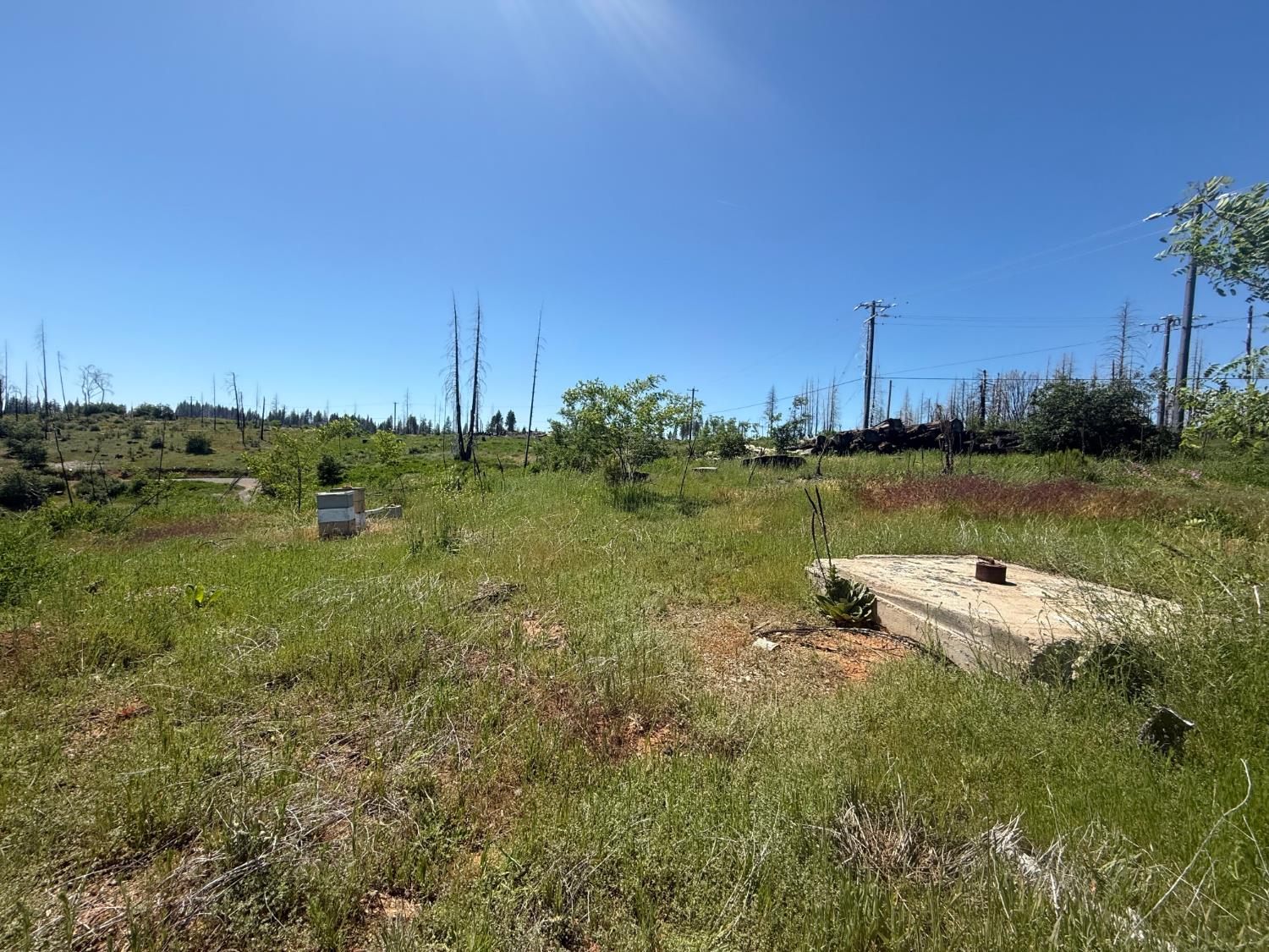 10340 Grizzly Flat Road