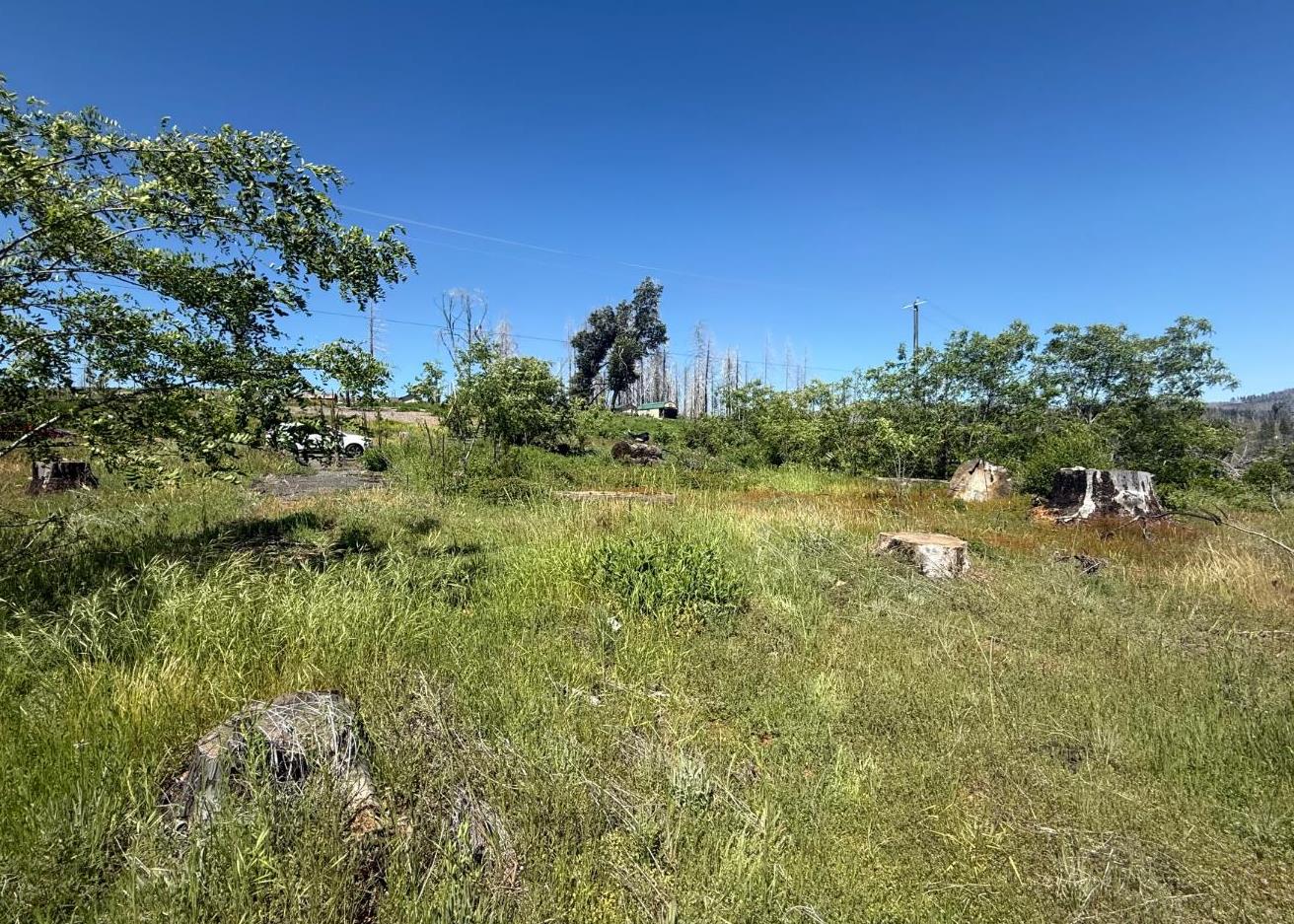 10340 Grizzly Flat Road