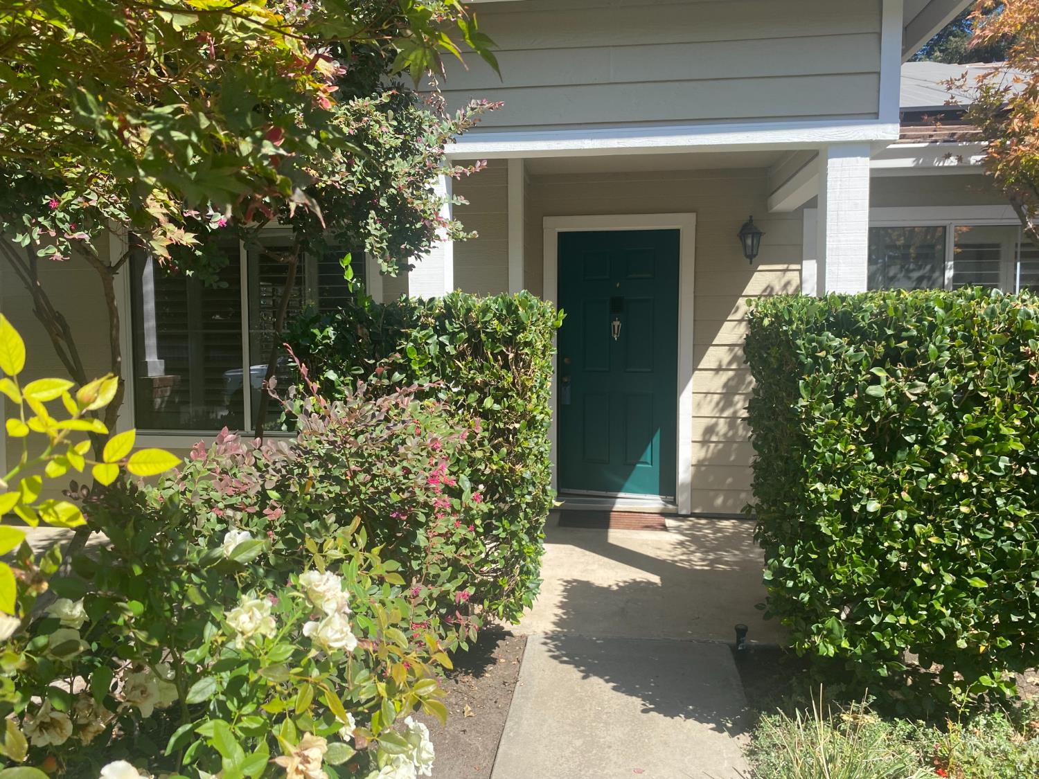 3537 Oak Shores Drive