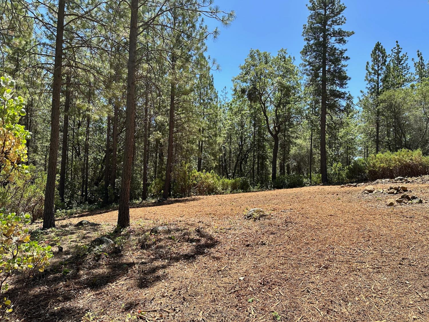 16677 Winchester Club Drive