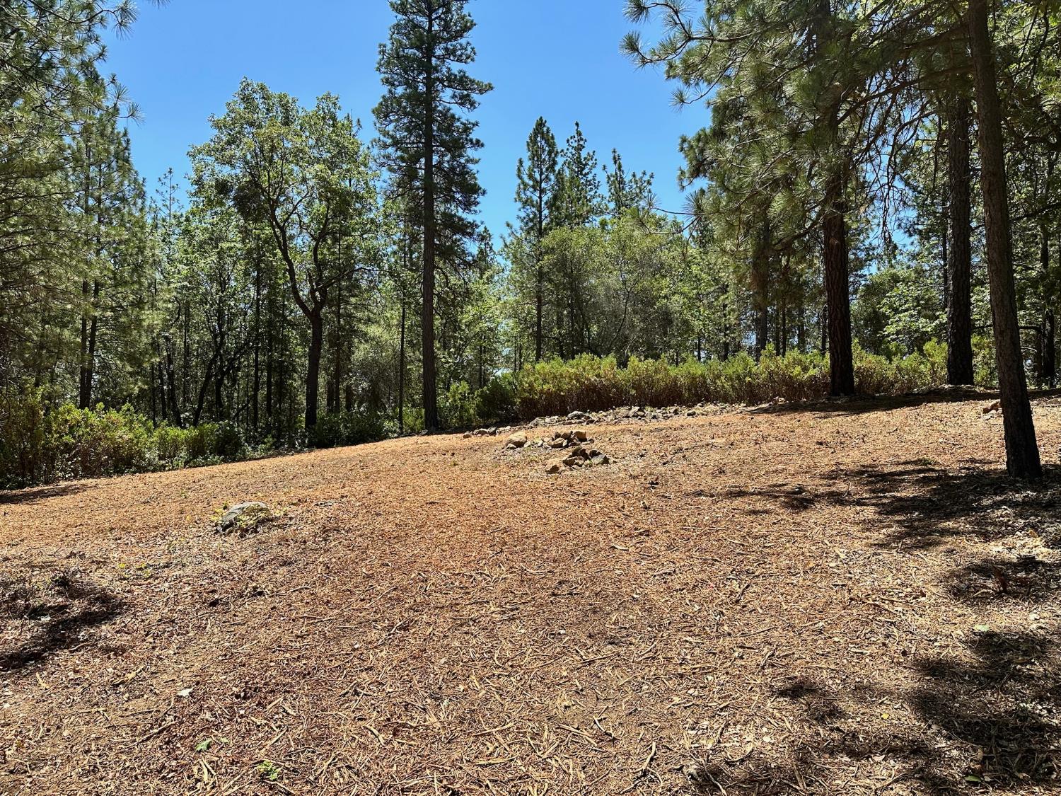 16677 Winchester Club Drive