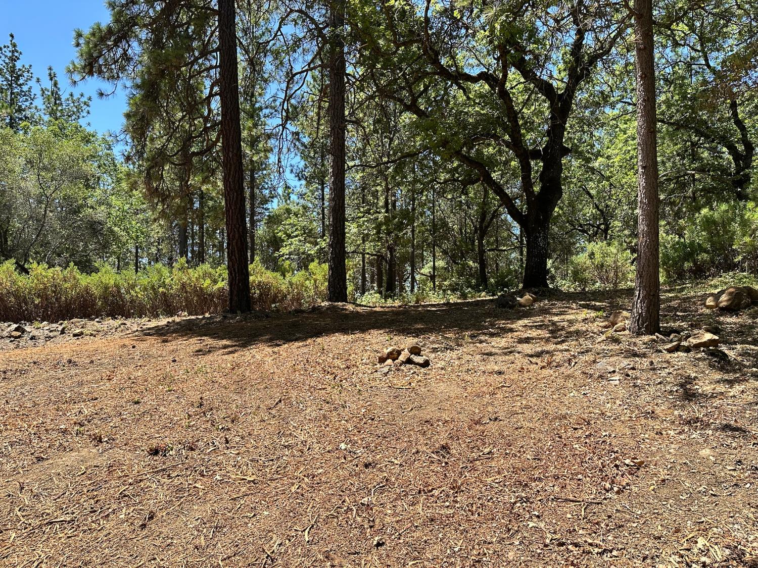 16677 Winchester Club Drive