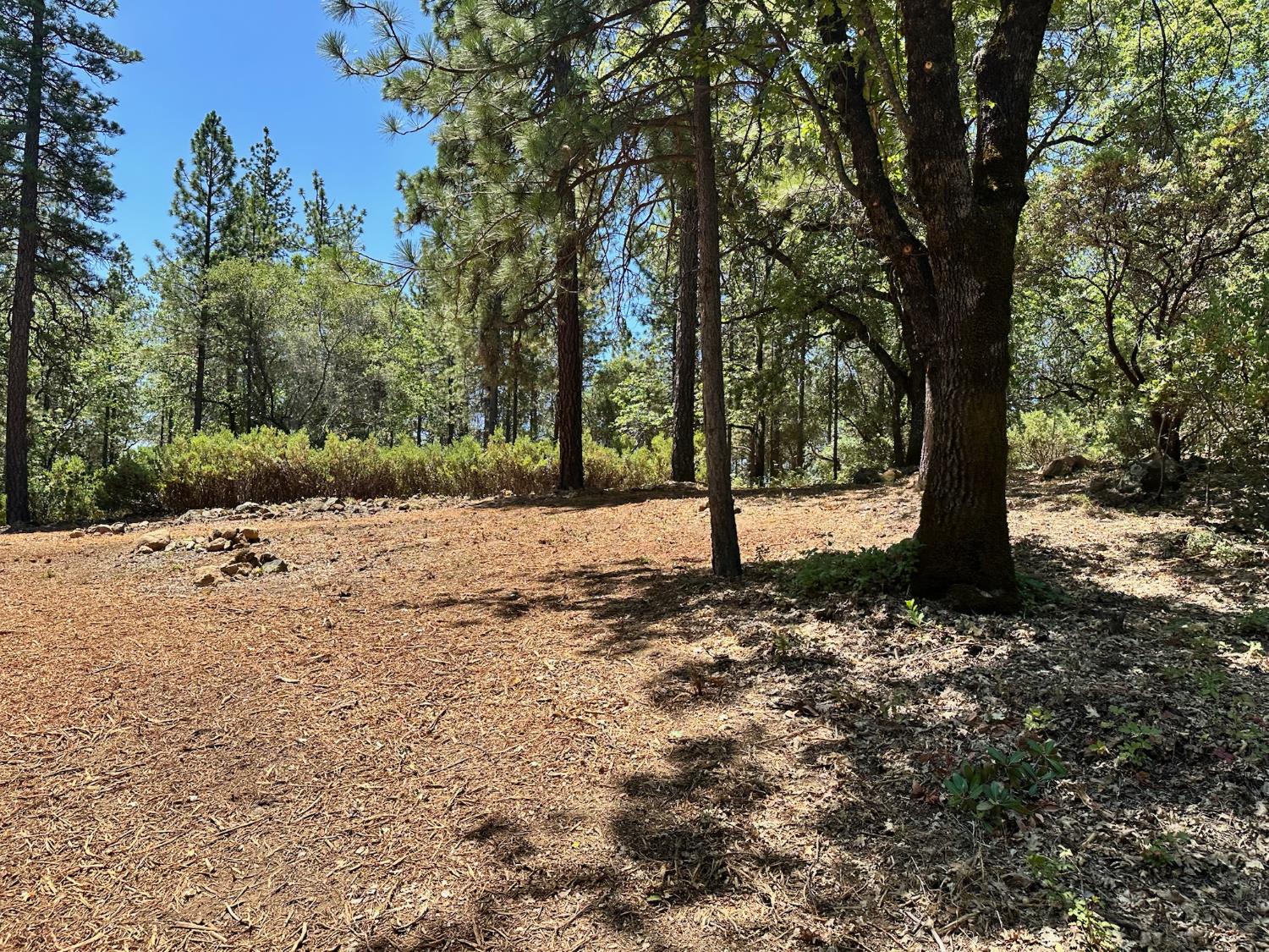 16677 Winchester Club Drive