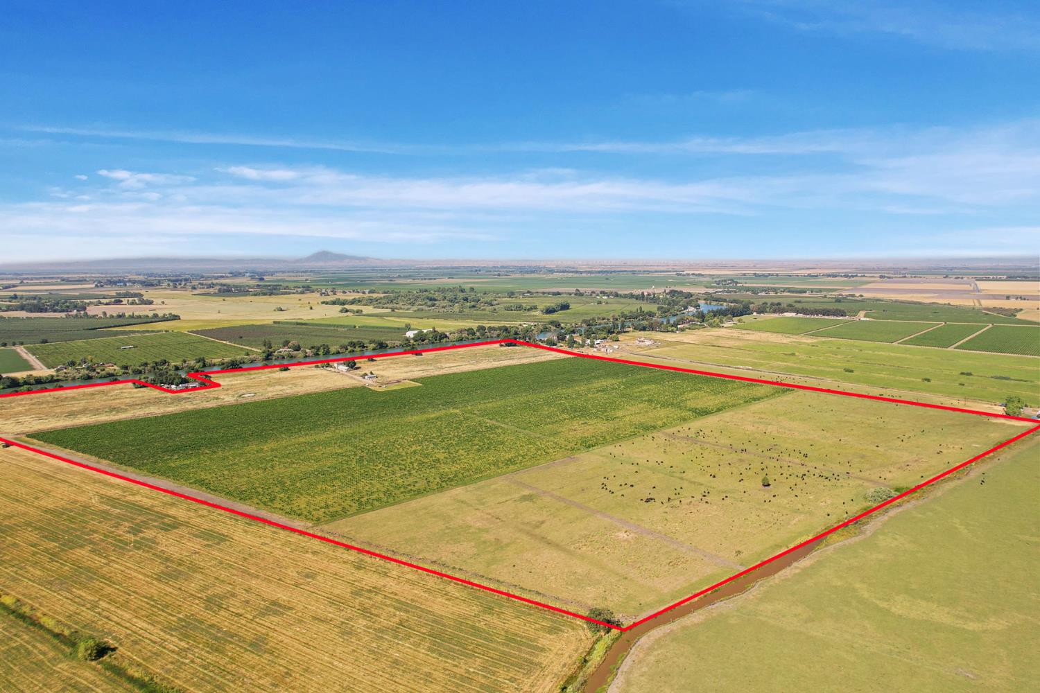 14226 State Highway 160