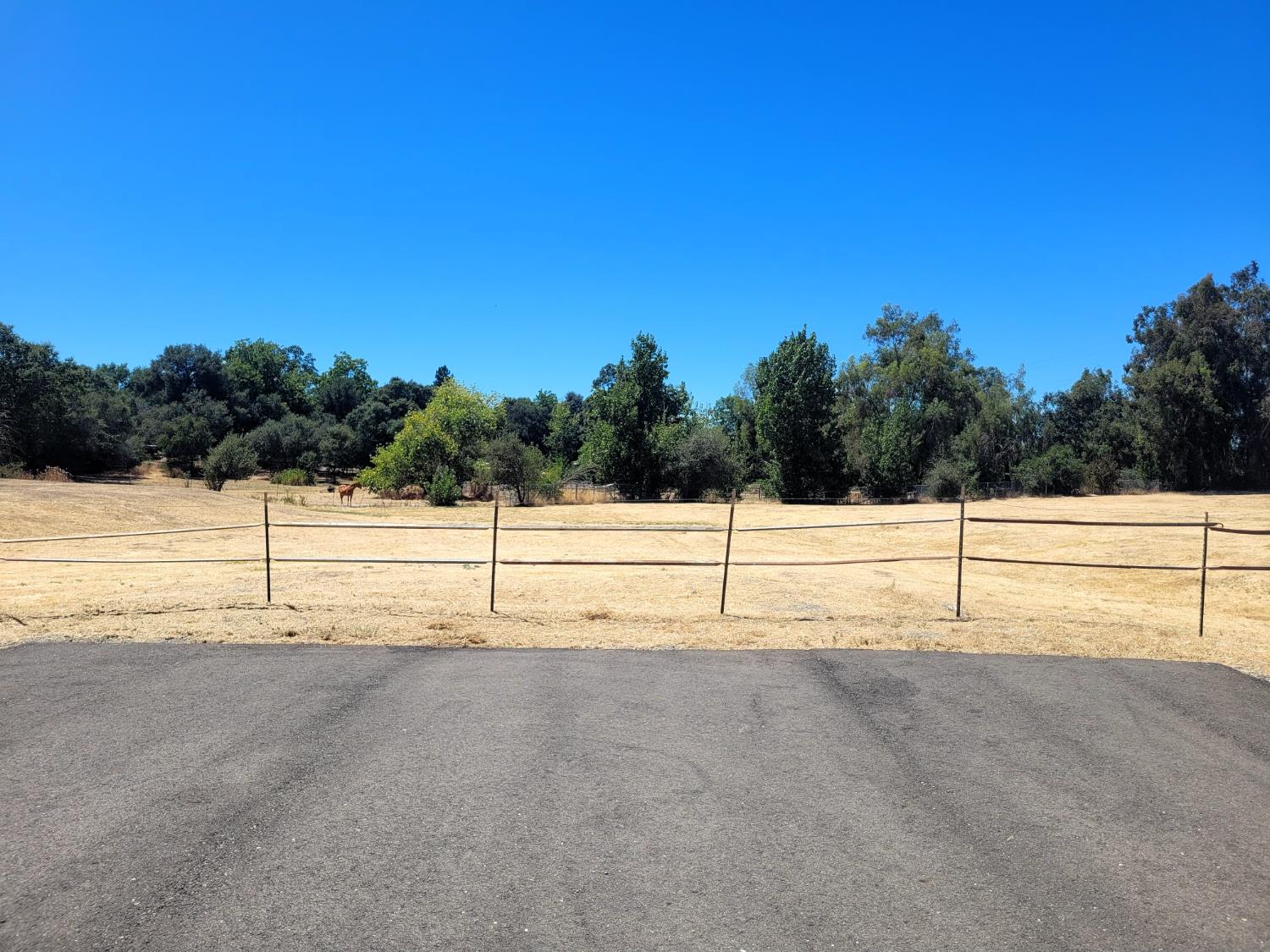 8970 Chula Acres Lane