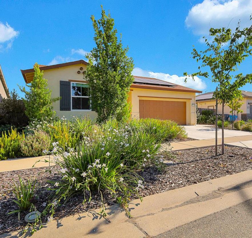 1559 Falabella Way