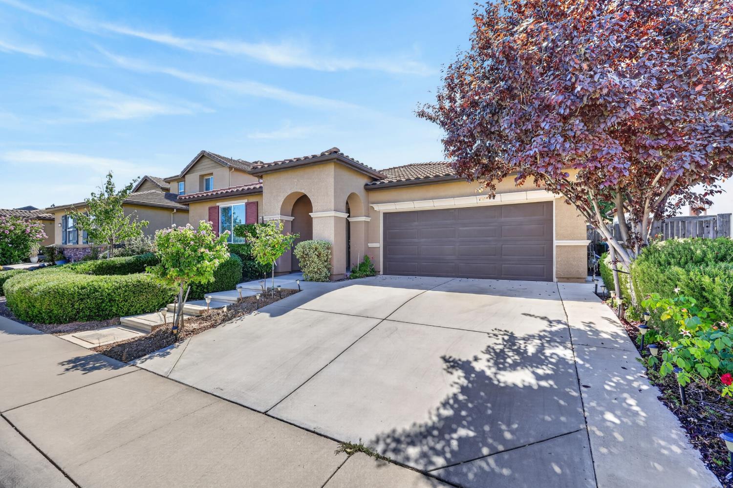 10092 Avocado Way