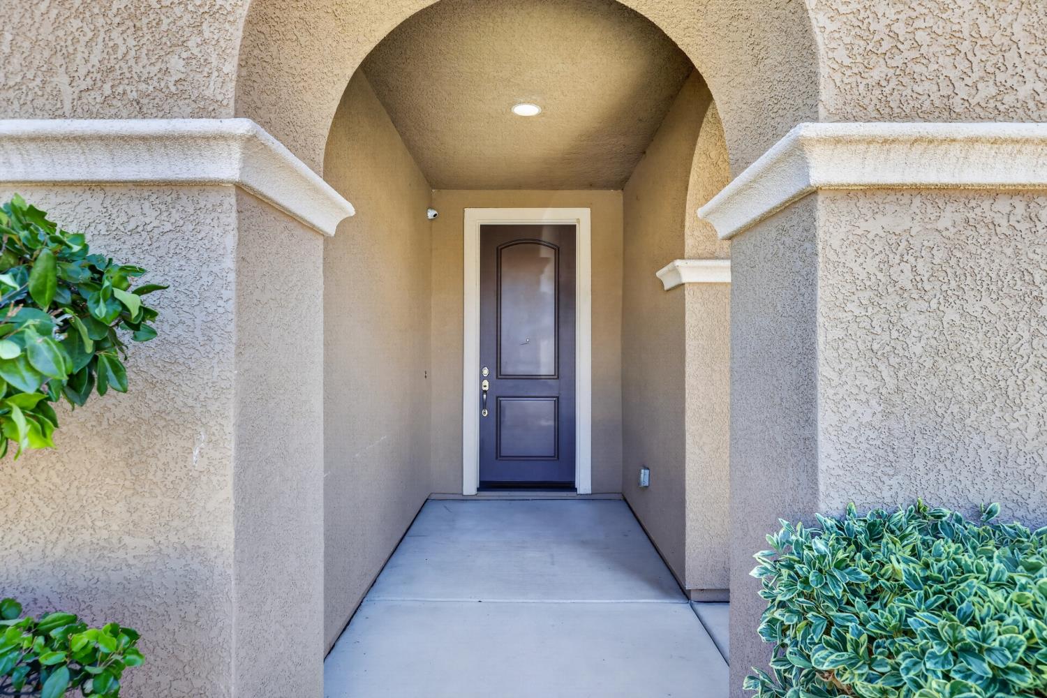 10092 Avocado Way