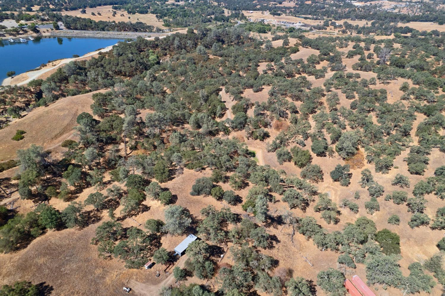 6550 Jackson Valley Road