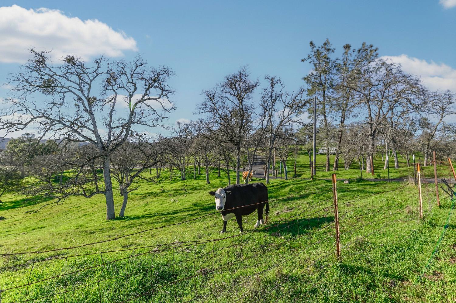 3653 Chuckwagon Drive