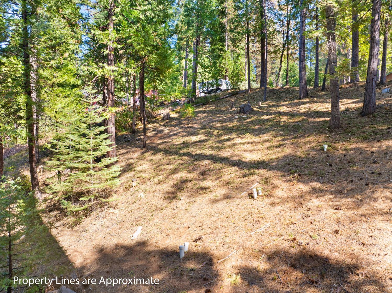 2785 Murphys Drive