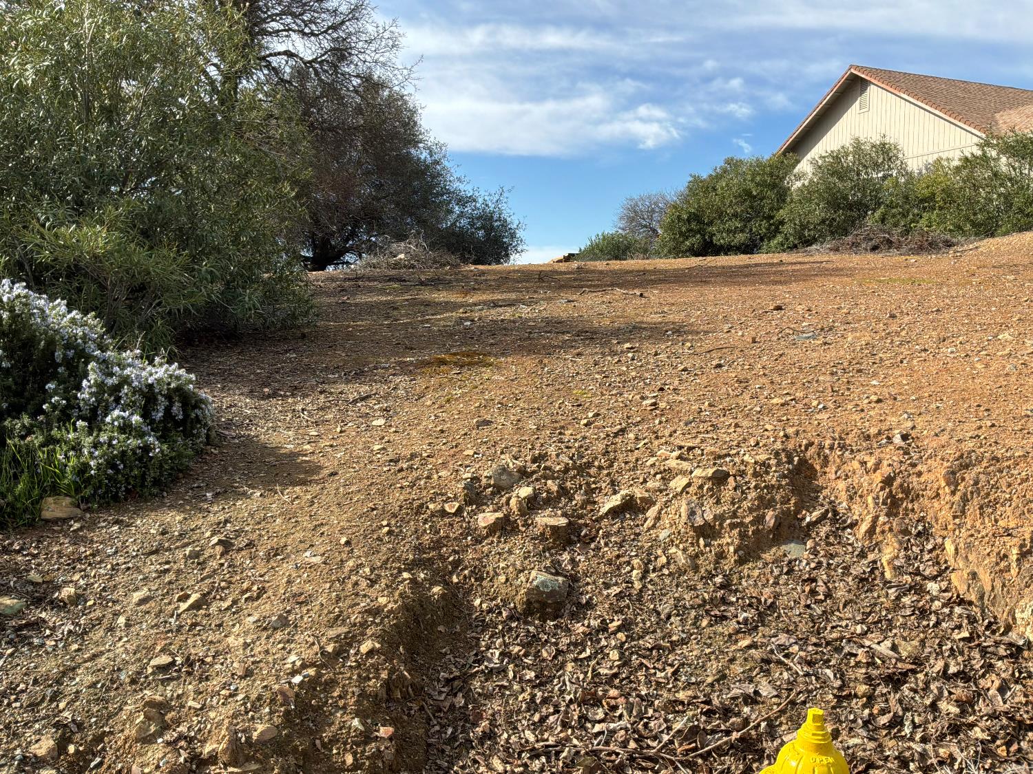 3790 Signal Hill Trail