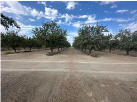 4783 W Manning Avenue