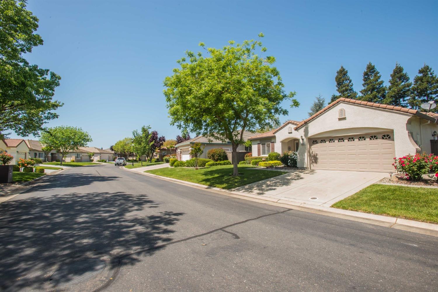 2909 Robinson Creek Lane