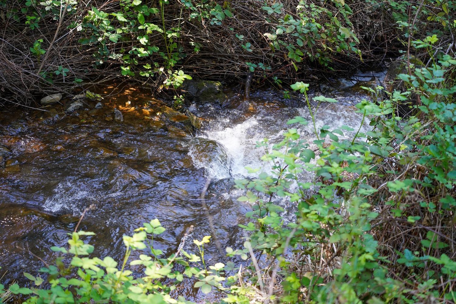 15806 Perimeter Road