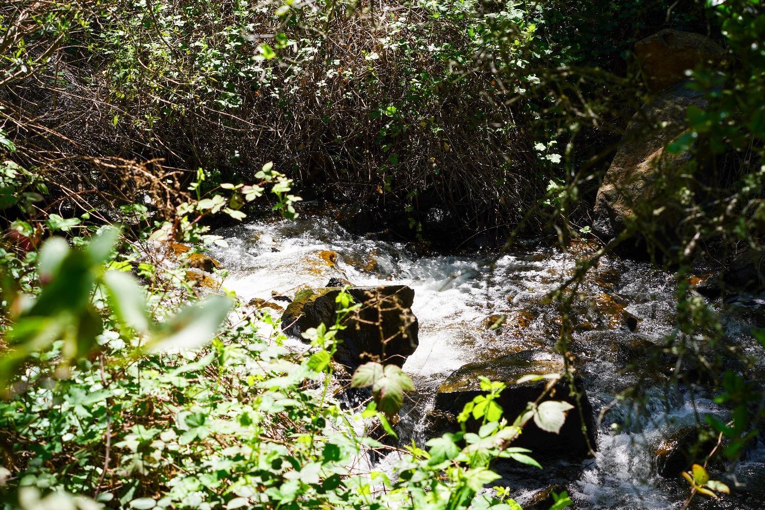 15806 Perimeter Road