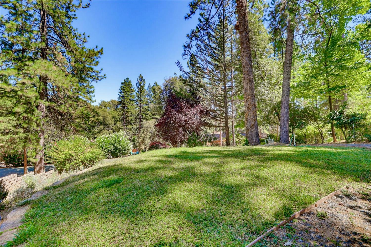 16536 Joey Court