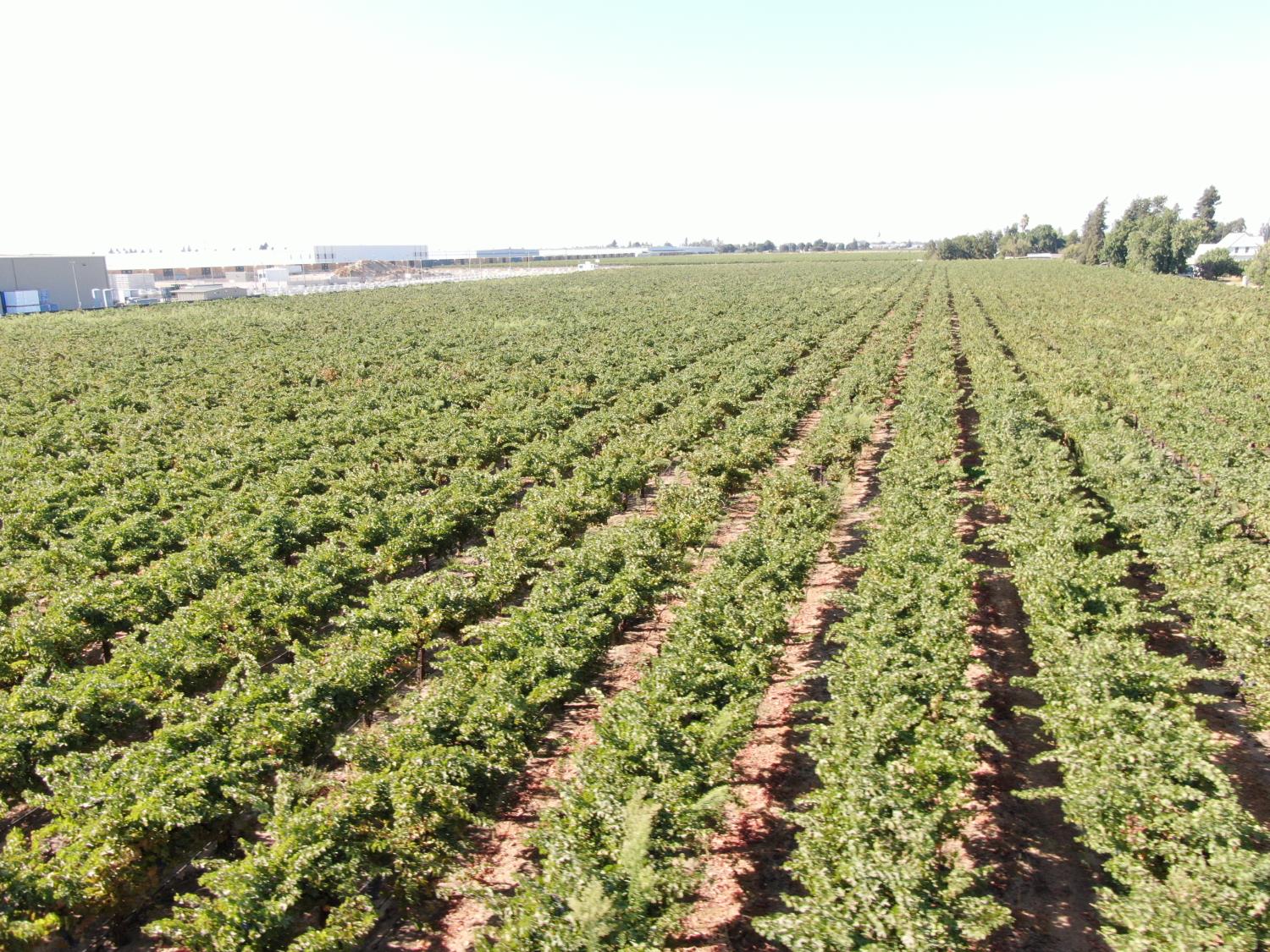 15155 N Curry Avenue