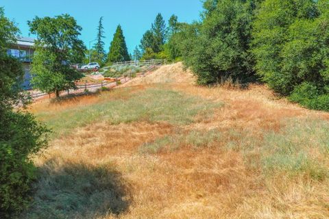 279 Wyldewood Drive Murphys CA 95247