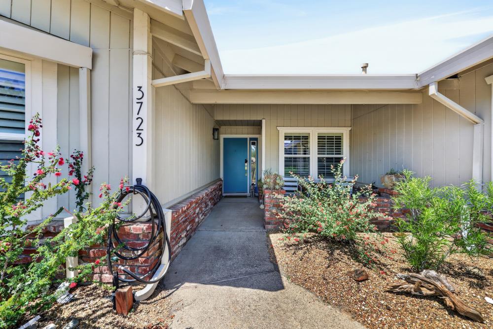 3723 Antelope Way