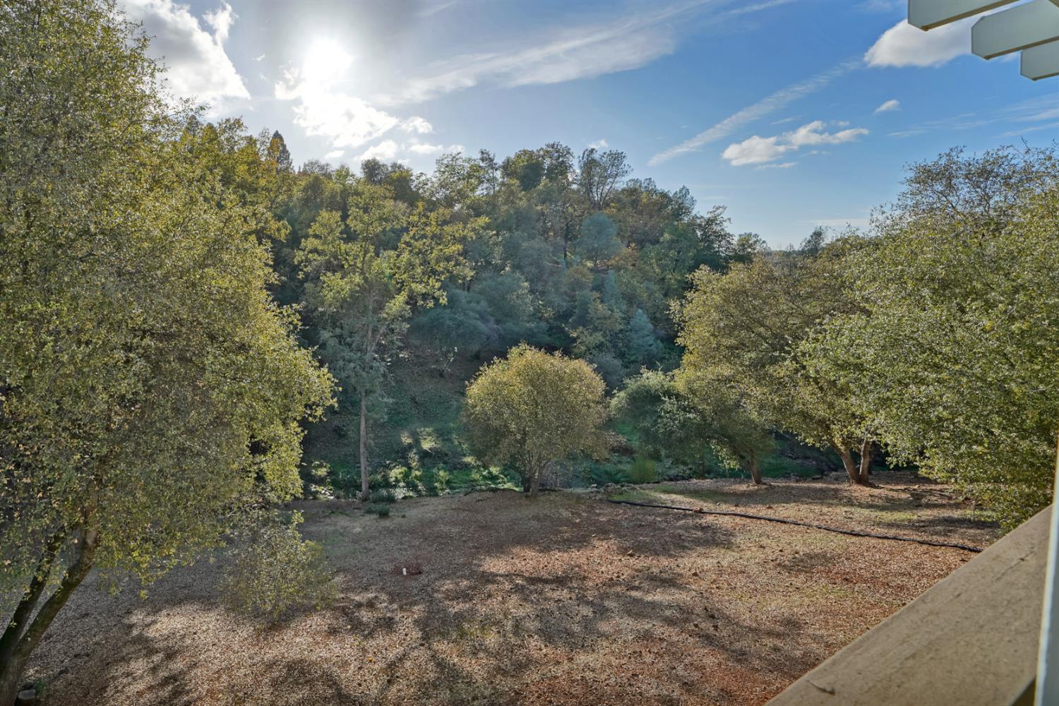 4002 Pine Bluff Lane