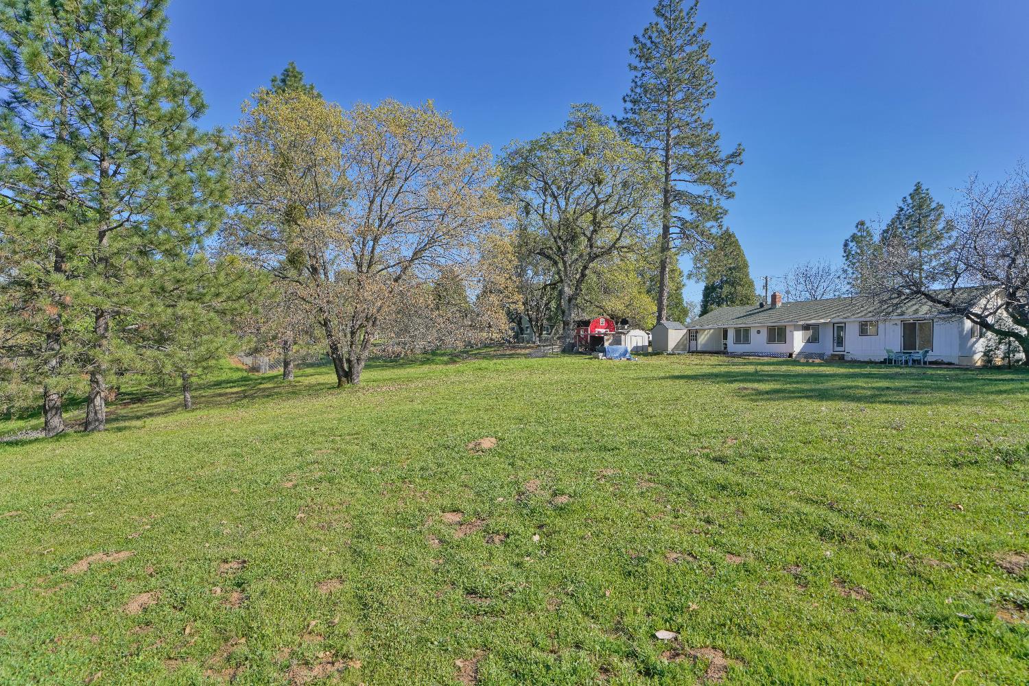 6261 Grizzly Flat Road