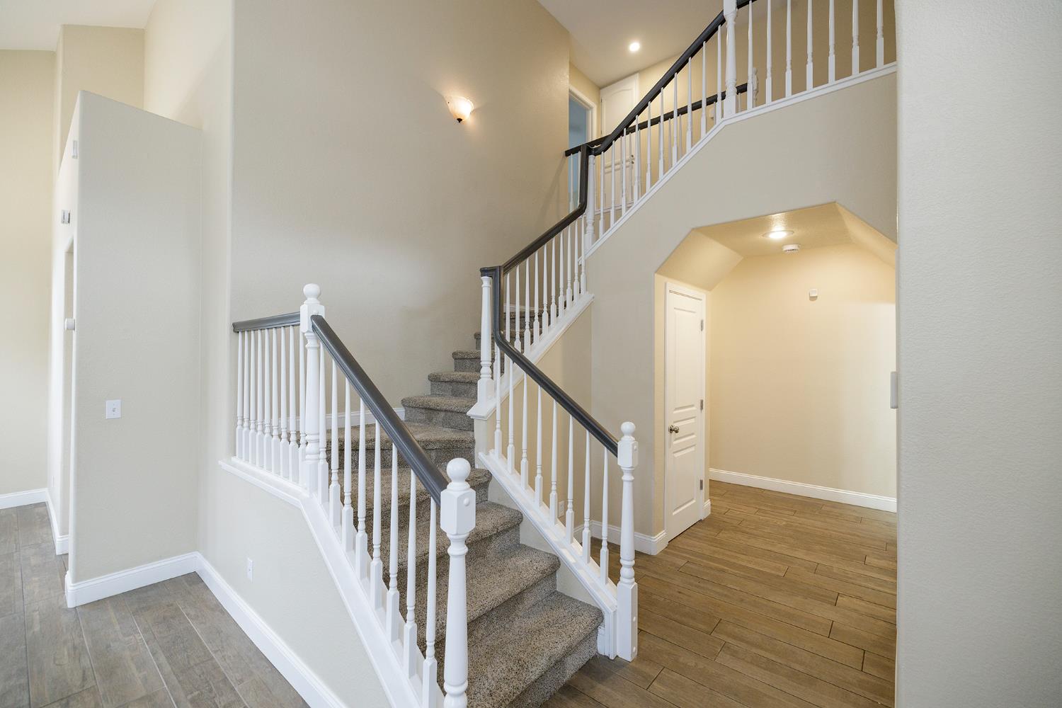 446 Meyenberg Avenue