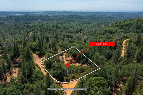 387 E Summit View Drive Meadow Vista CA 95722