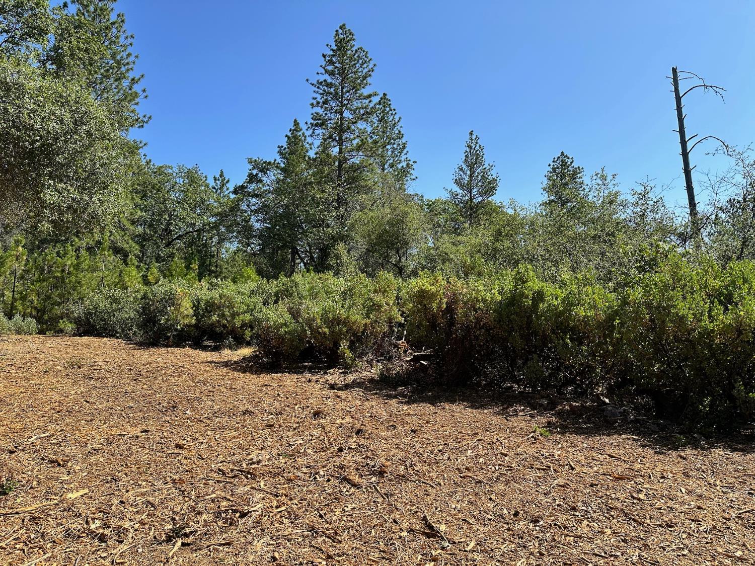 387 E Summit View Drive