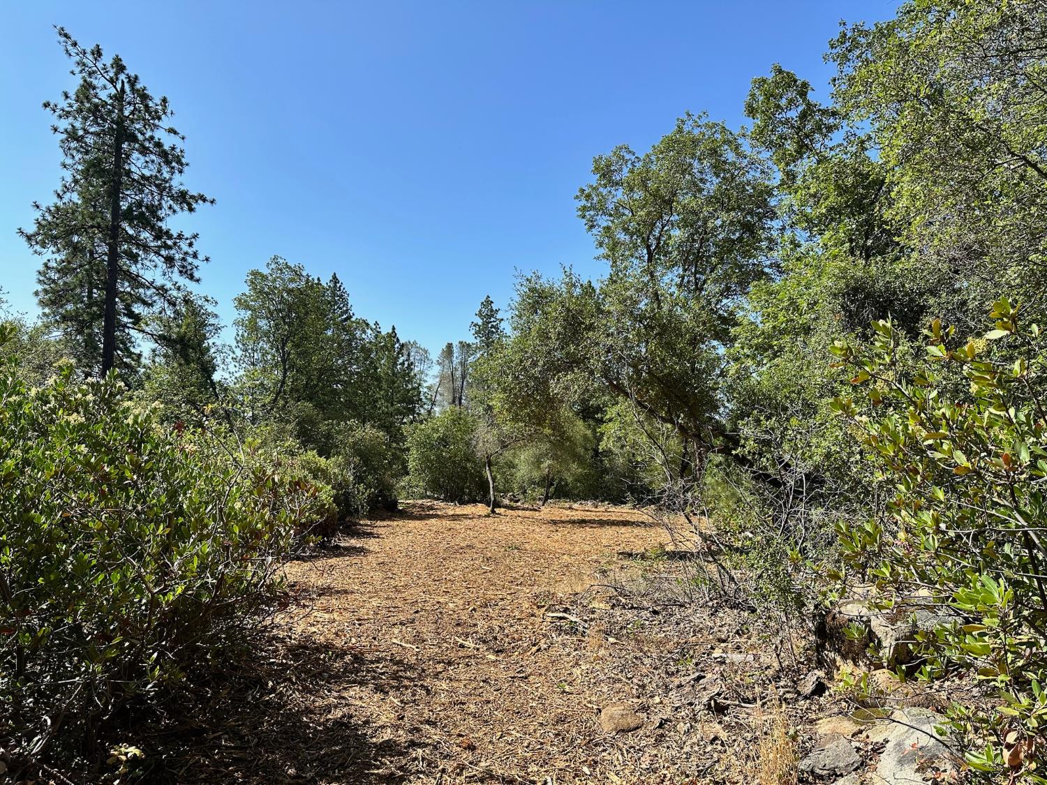 387 E Summit View Drive