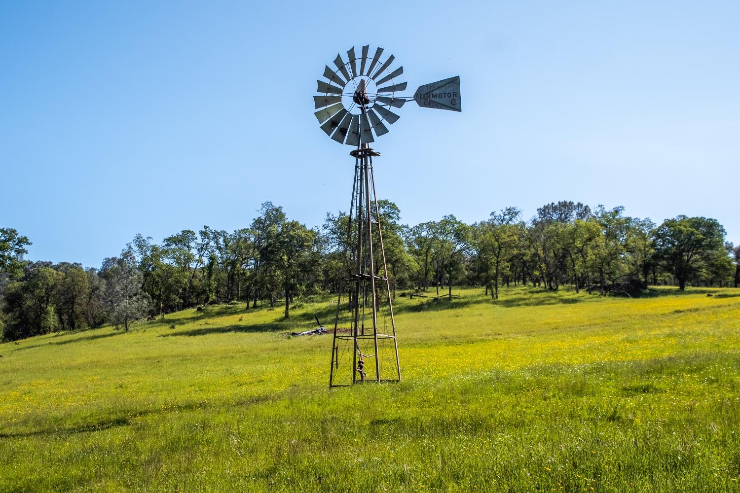 8591 Hogan Dam Road
