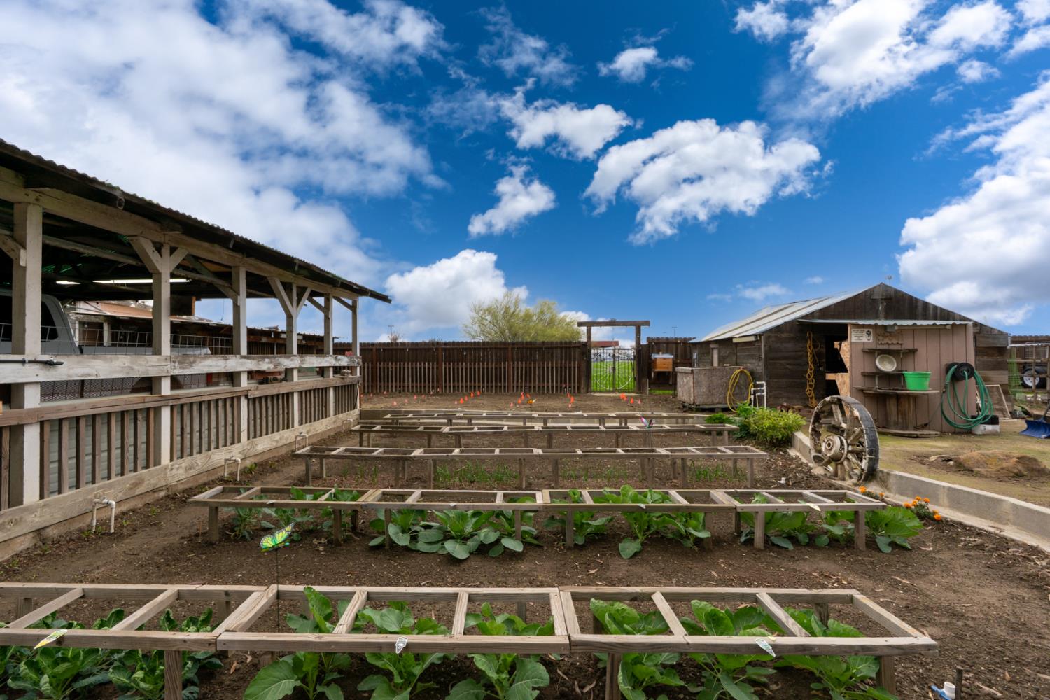 Los Banos, California 93635, United States, 3 Bedrooms Bedrooms, ,2 BathroomsBathrooms,Residential,Active,251508