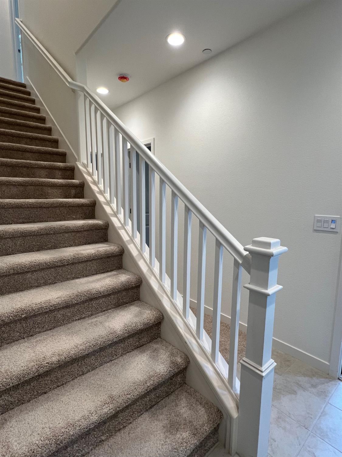 2616 Night Bloom Way